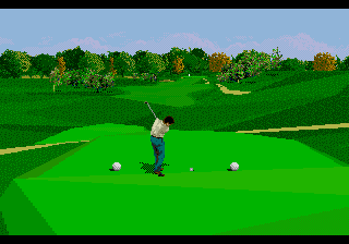 Скриншот игры PGA Tour 96